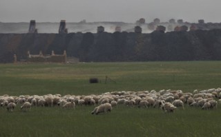 内蒙还能挖多少年煤，内蒙还能挖多少年煤矿
