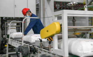 煤炭有多少亿年，煤炭有多少亿年历史