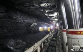 面煤多少钱，面煤多少钱一吨