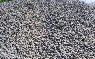 金沙煤批发多少一吨，金沙煤批发多少一吨2024年